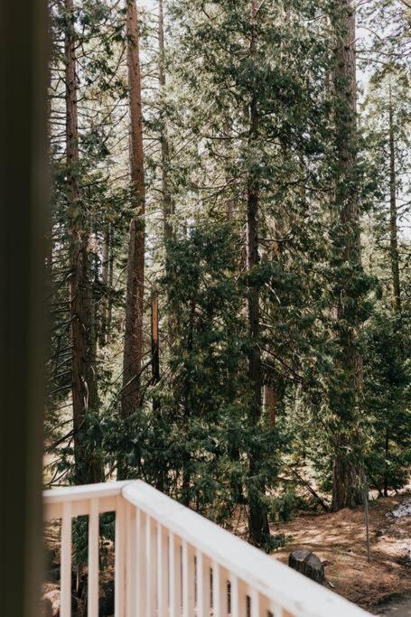 The Lodge